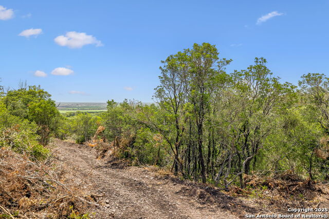 Listing photo id 19 for 718 County Road 466