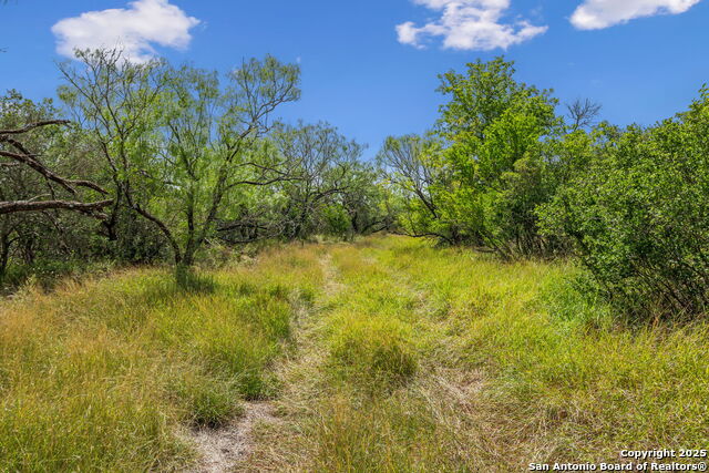Listing photo id 23 for 718 County Road 466