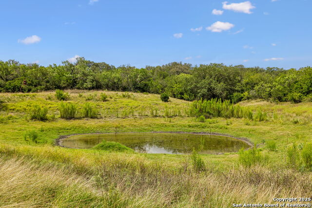 Listing photo id 25 for 718 County Road 466