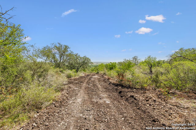 Listing photo id 27 for 718 County Road 466
