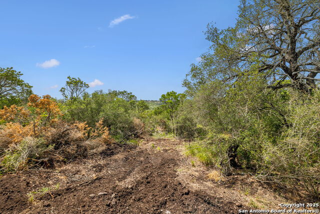 Listing photo id 28 for 718 County Road 466