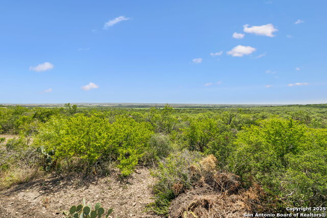Listing photo id 30 for 718 County Road 466
