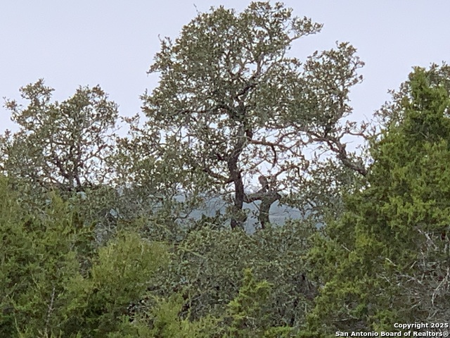 Details for 1479 Trailhead, New Braunfels, TX 78132