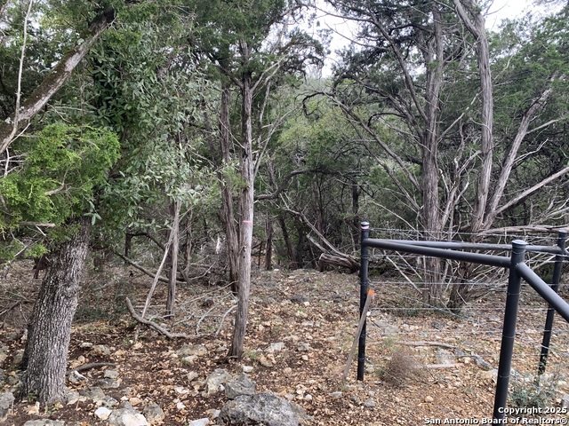 Image 13 of 22 For 1479 Trailhead