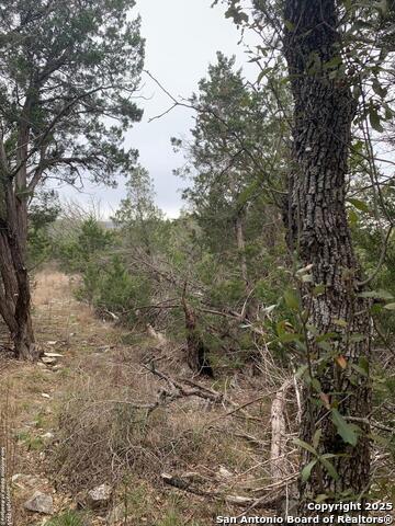 Image 15 of 22 For 1479 Trailhead