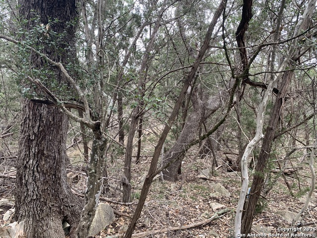Image 4 of 22 For 1479 Trailhead