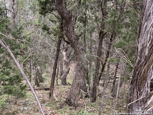 Image 8 of 22 For 1479 Trailhead