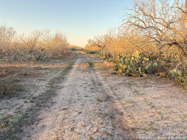 Image 18 of 40 For 811 County Road 211