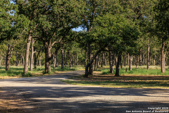 Image 35 of 48 For 10030 Us Highway 290