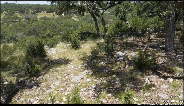 Details for 492 Havasu Pt., Spring Branch, TX 78070