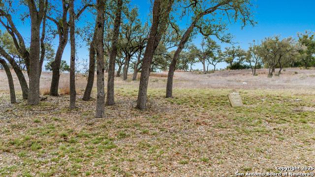 Details for 2542 George Pass, Canyon Lake, TX 78133