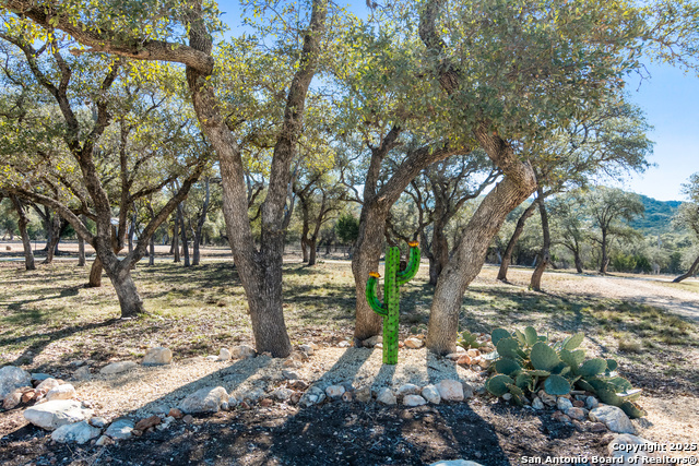 Image 49 of 57 For 381 Camino Primero