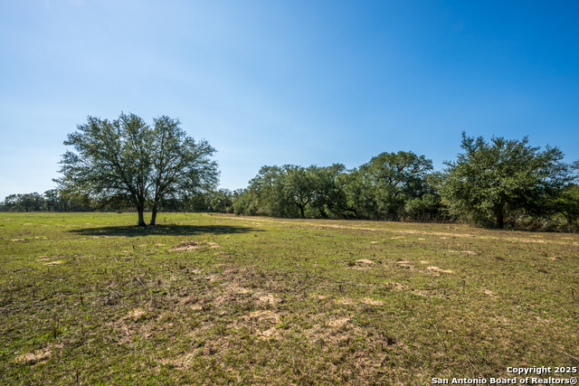 Listing photo id 8 for 16297b Tx-111