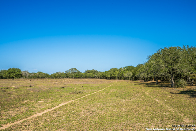 Listing photo id 10 for 16297b Tx-111