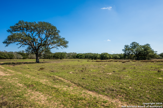 Listing photo id 12 for 16297b Tx-111