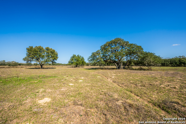 Listing photo id 13 for 16297b Tx-111