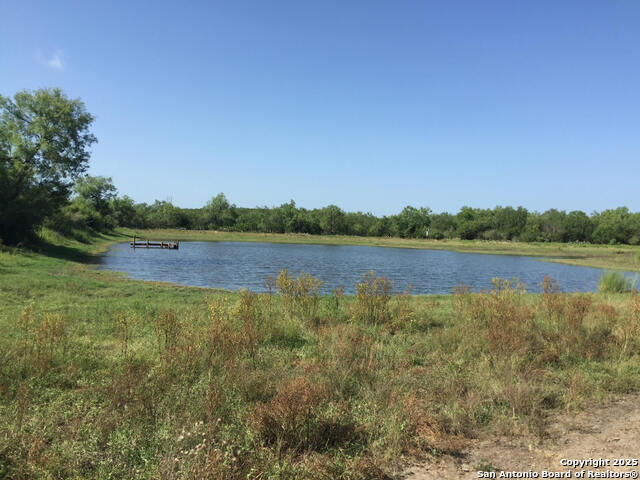 Details for Tbd County Road 2410, Moore, TX 78057