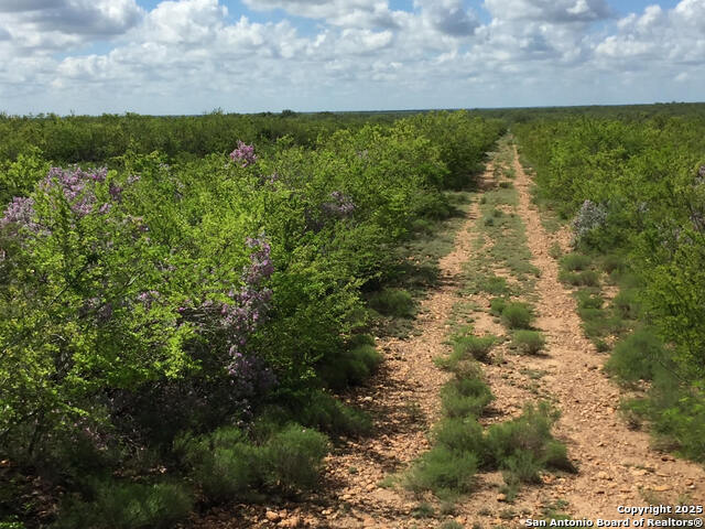 Image 2 of 5 For Tbd County Road 2410