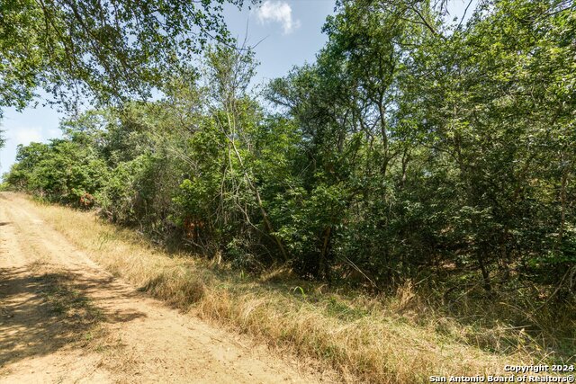 Details for Lot 649 Kaukonahua Ln, Bastrop, TX 78602