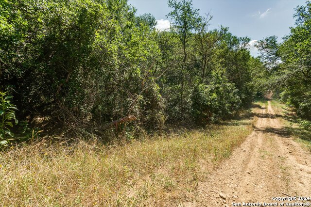 Details for Lot 650 Kaukonahua Ln, Bastrop, TX 78602