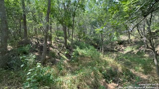 Image 8 of 8 For Lot 650 Kaukonahua Ln
