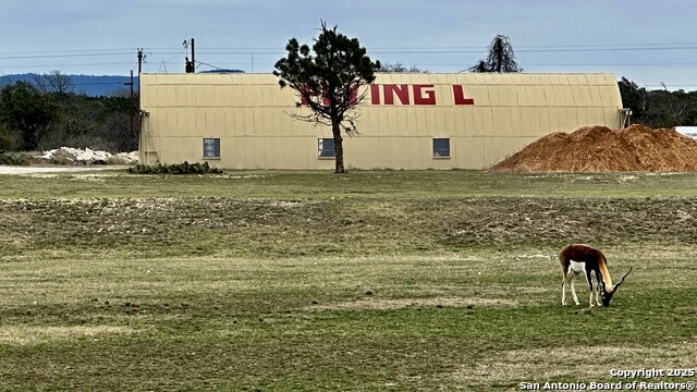 Listing photo id 12 for 163 Knollwood