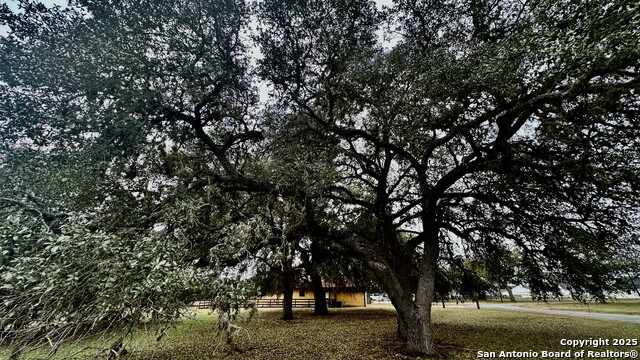 Listing photo id 4 for 000 Tawny Oak