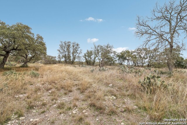 Image 14 of 20 For Lot 24 Pr 3702