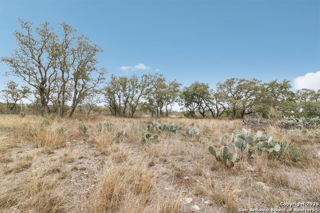 Image 16 of 20 For Lot 24 Pr 3702