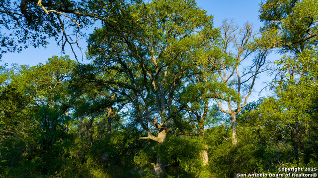 Image 44 of 50 For Address Not Provided