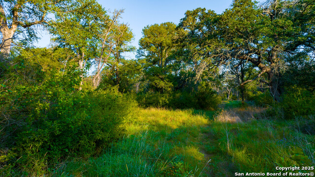 Image 45 of 50 For Address Not Provided