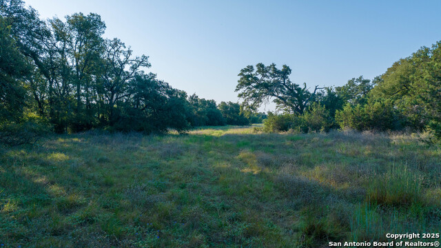 Image 46 of 50 For Address Not Provided