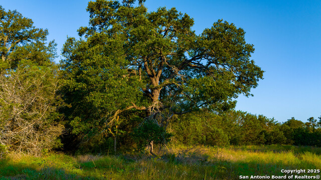 Image 47 of 50 For Address Not Provided