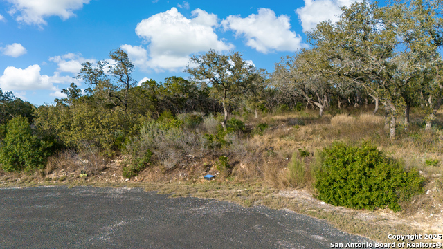 Listing photo id 13 for Lot 7, Pr 2773