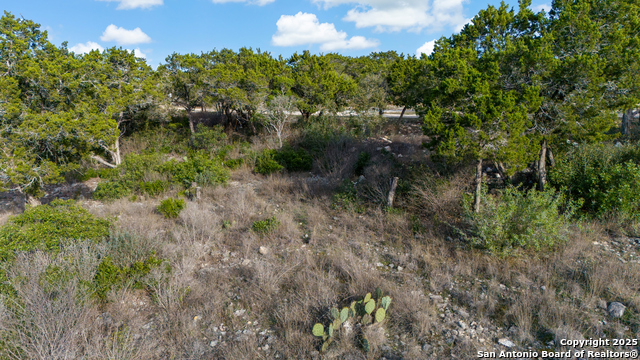 Listing photo id 16 for Lot 7, Pr 2773