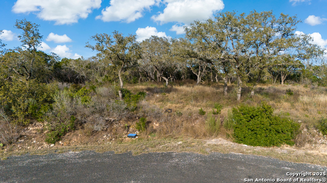 Listing photo id 2 for Lot 7, Pr 2773