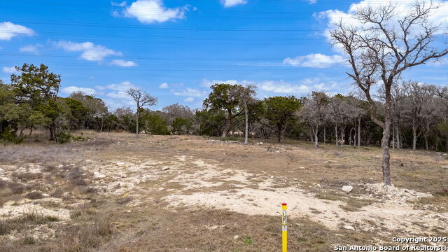 Image 16 of 20 For 688 Travis Forest
