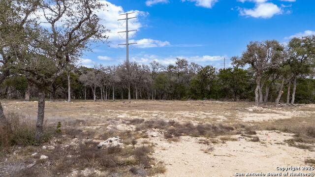 Image 17 of 20 For 688 Travis Forest