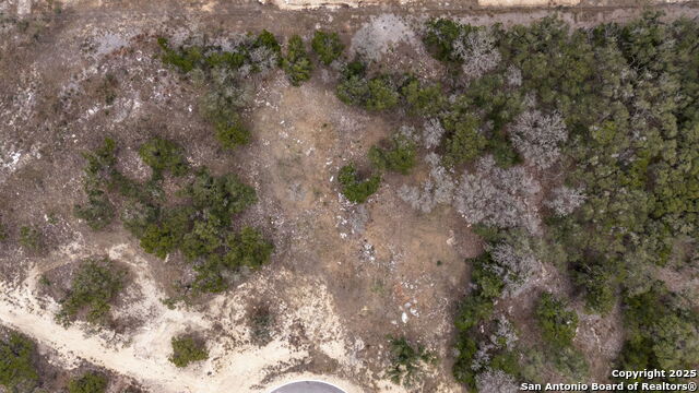 Image 20 of 20 For 688 Travis Forest