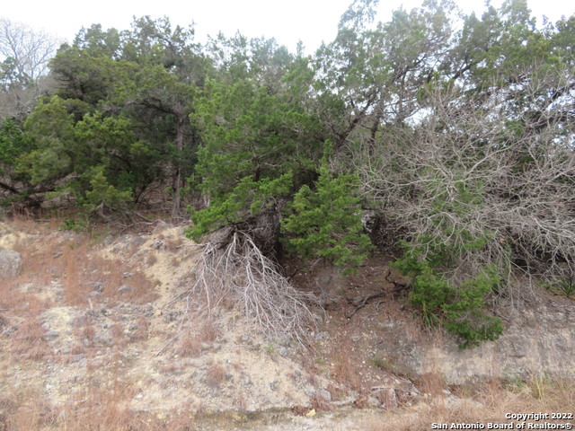 Image 4 of 21 For Lot 37-39 & Canyon Trail