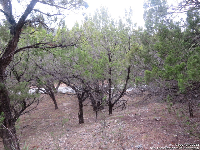 Image 9 of 21 For Lot 37-39 & Canyon Trail