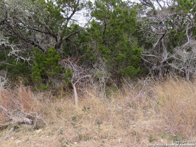 Listing photo id 2 for Lot 158-160 & Hilltop Circle