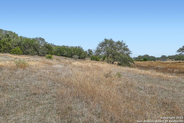 Image 6 of 13 For 34717 Mayer Oaks