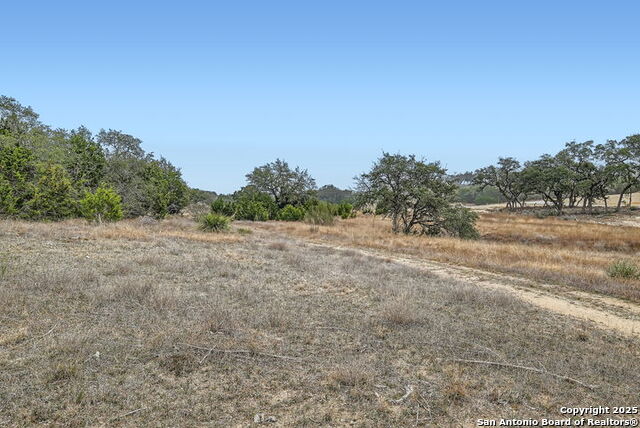 Image 7 of 13 For 34717 Mayer Oaks