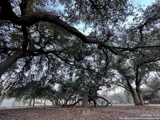 Listing photo id 9 for 292 Private Road 2430