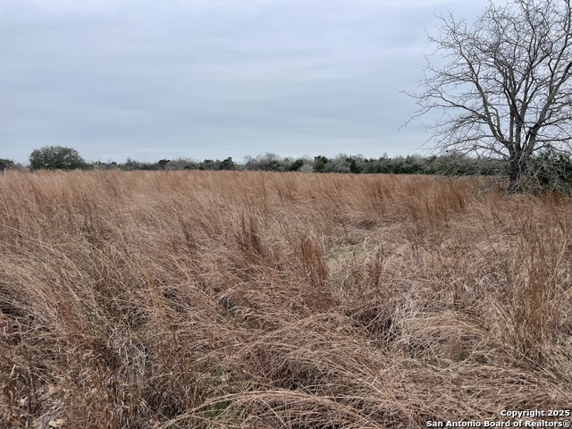 Details for 00 Mule Creek Rd, Harwood, TX 78632