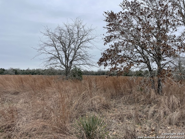 Listing photo id 0 for 00 Mule Creek Rd