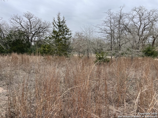 Listing photo id 1 for 00 Mule Creek Rd