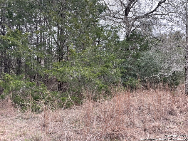 Listing photo id 2 for 00 Mule Creek Rd