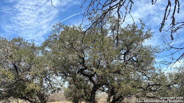 Details for 946 County Road 2863, Bigfoot, TX 78005